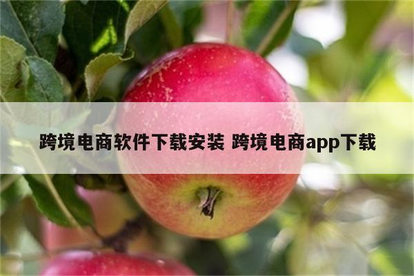 跨境电商软件下载安装 跨境电商app下载