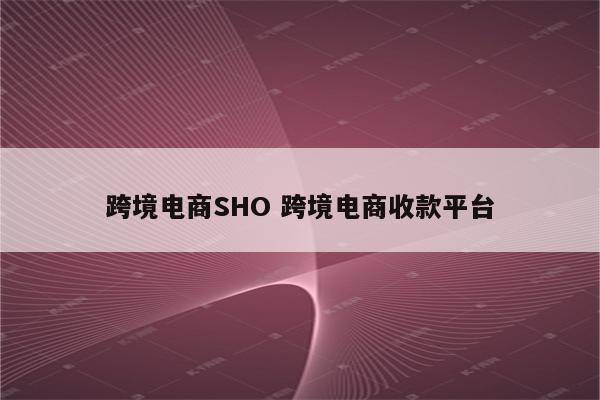 跨境电商SHO 跨境电商收款平台