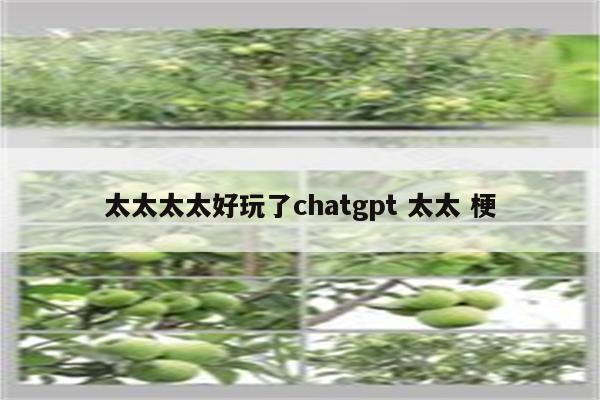太太太太好玩了chatgpt 太太 梗