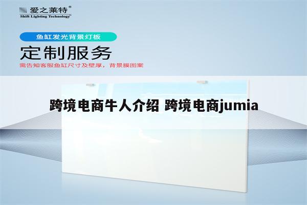 跨境电商牛人介绍 跨境电商jumia