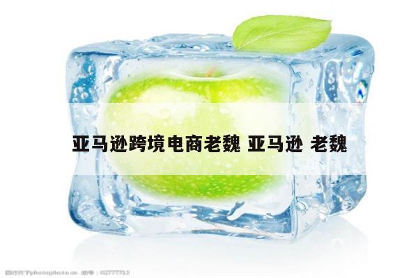亚马逊跨境电商老魏 亚马逊 老魏