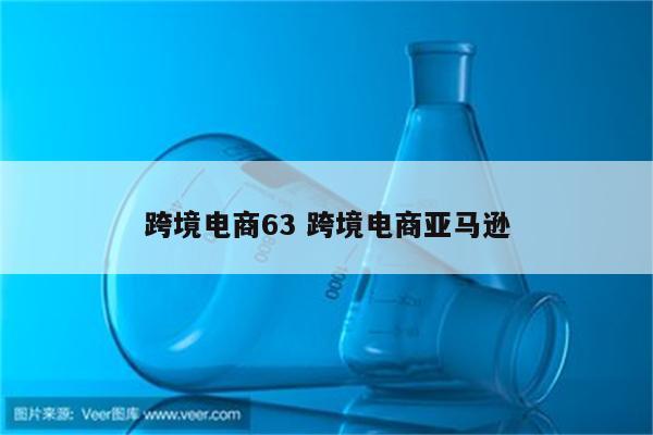 跨境电商63 跨境电商亚马逊