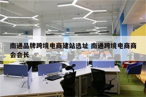 南通品牌跨境电商建站选址 南通跨境电商商会会长