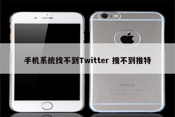 手机系统找不到Twitter 搜不到推特