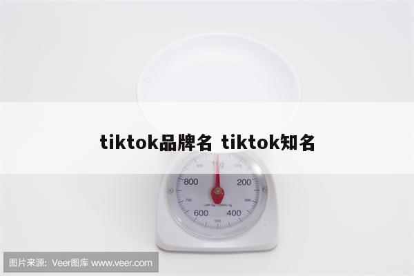 tiktok品牌名 tiktok知名