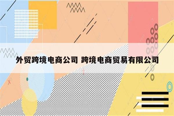 外贸跨境电商公司 跨境电商贸易有限公司