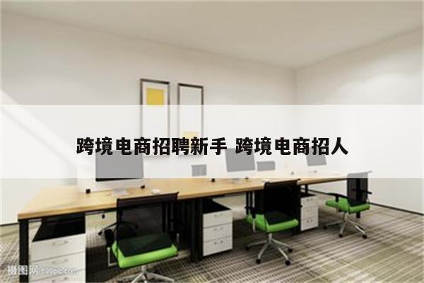 跨境电商招聘新手 跨境电商招人