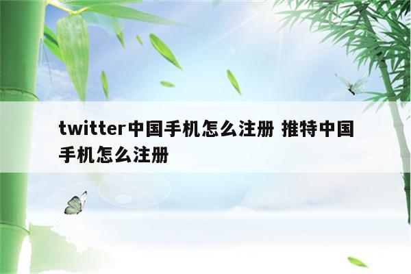 twitter中国手机怎么注册 推特中国手机怎么注册