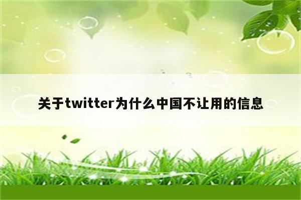 关于twitter为什么中国不让用的信息