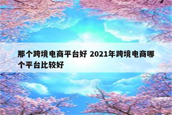 那个跨境电商平台好 2021年跨境电商哪个平台比较好