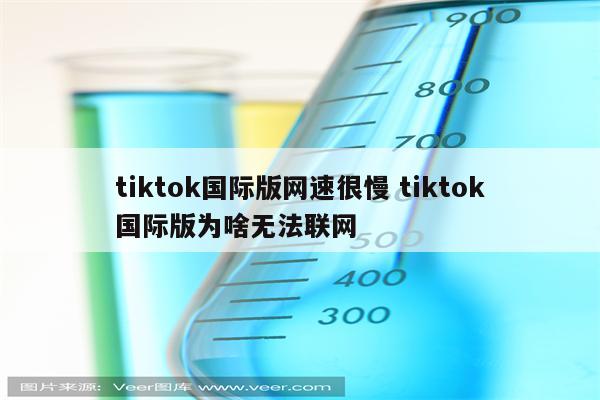 tiktok国际版网速很慢 tiktok国际版为啥无法联网