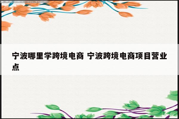 宁波哪里学跨境电商 宁波跨境电商项目营业点