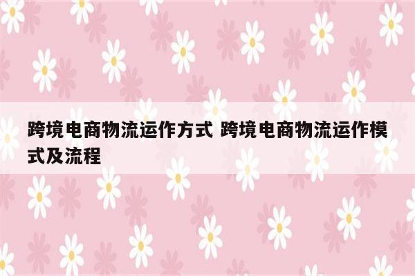 跨境电商物流运作方式 跨境电商物流运作模式及流程