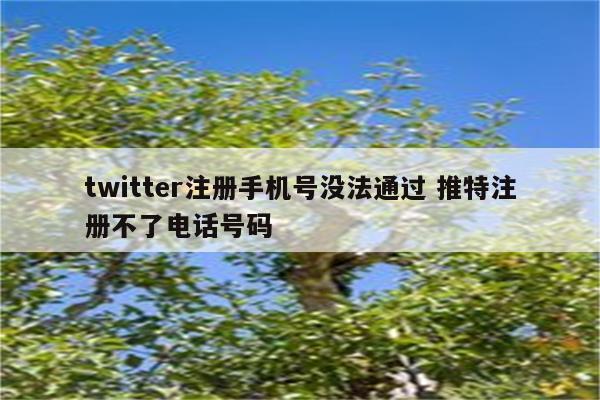 twitter注册手机号没法通过 推特注册不了电话号码