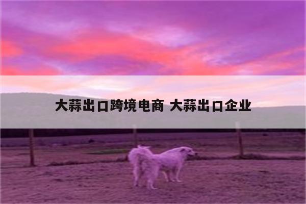 大蒜出口跨境电商 大蒜出口企业