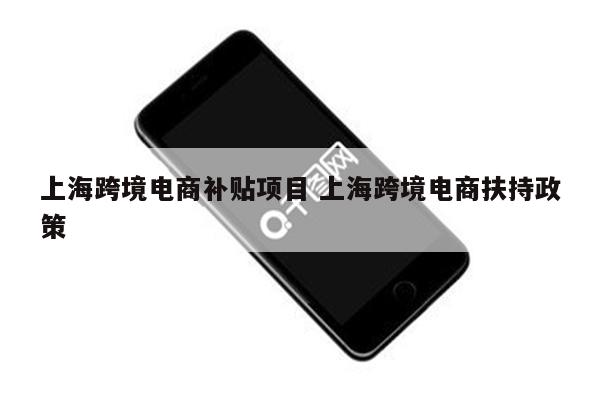 上海跨境电商补贴项目 上海跨境电商扶持政策