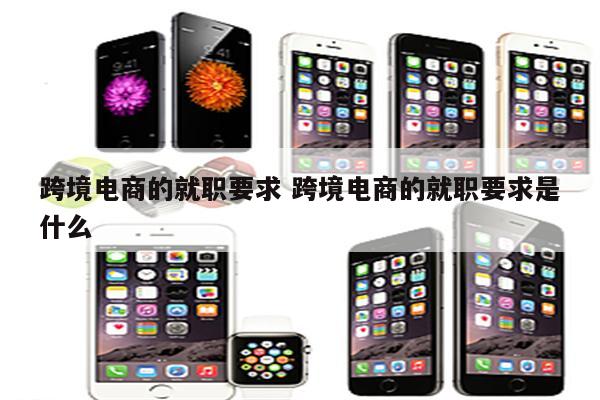 跨境电商的就职要求 跨境电商的就职要求是什么