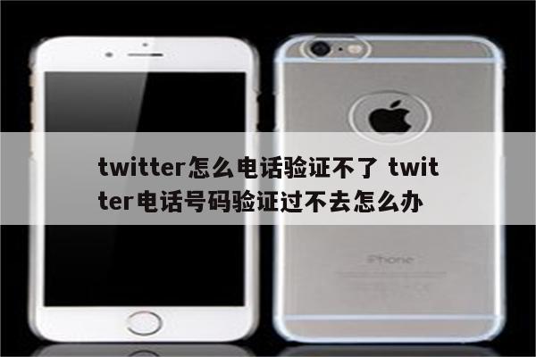 twitter怎么电话验证不了 twitter电话号码验证过不去怎么办
