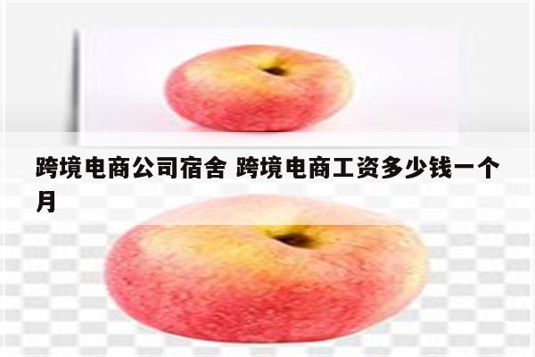 跨境电商公司宿舍 跨境电商工资多少钱一个月