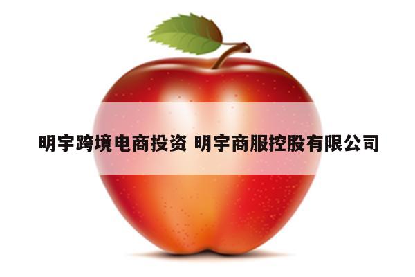 明宇跨境电商投资 明宇商服控股有限公司