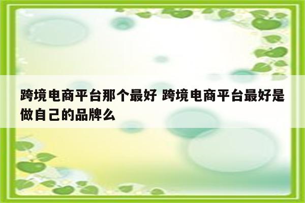 跨境电商平台那个最好 跨境电商平台最好是做自己的品牌么