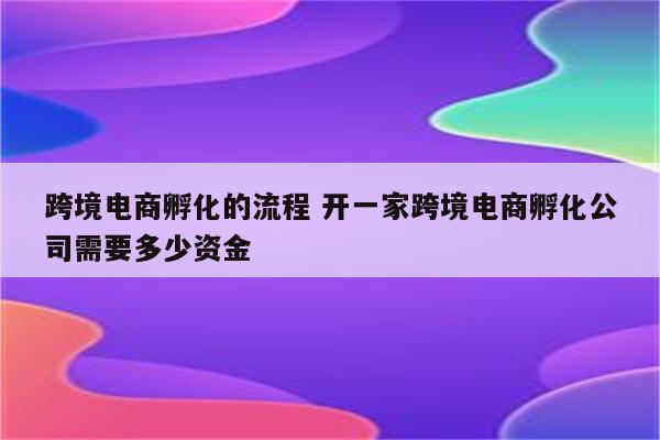 跨境电商孵化的流程 开一家跨境电商孵化公司需要多少资金