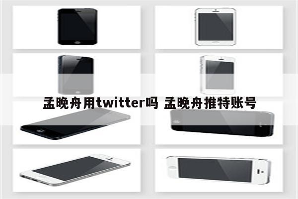 孟晚舟用twitter吗 孟晚舟推特账号