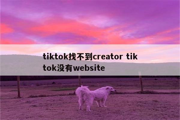 tiktok找不到creator tiktok没有website