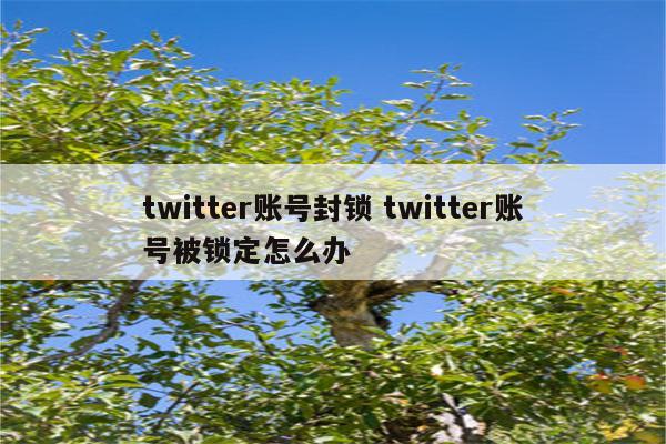 twitter账号封锁 twitter账号被锁定怎么办