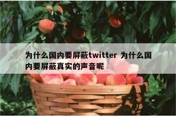 为什么国内要屏蔽twitter 为什么国内要屏蔽真实的声音呢