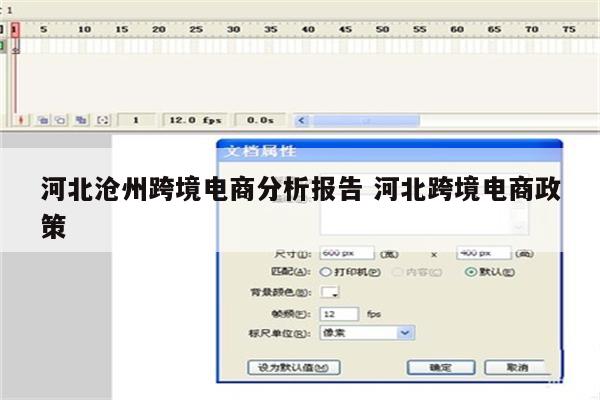 河北沧州跨境电商分析报告 河北跨境电商政策