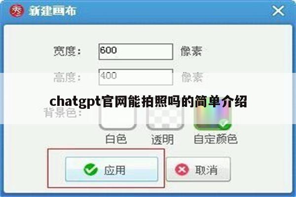 chatgpt官网能拍照吗的简单介绍