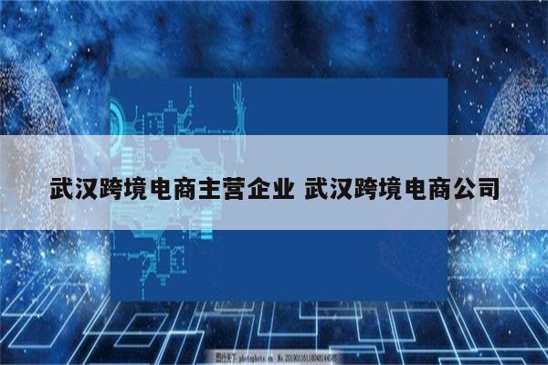 武汉跨境电商主营企业 武汉跨境电商公司