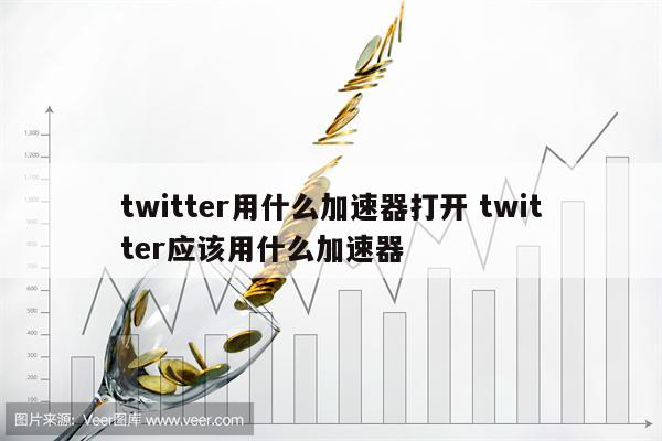 twitter用什么加速器打开 twitter应该用什么加速器