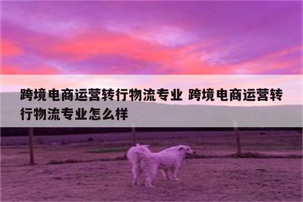 跨境电商运营转行物流专业 跨境电商运营转行物流专业怎么样