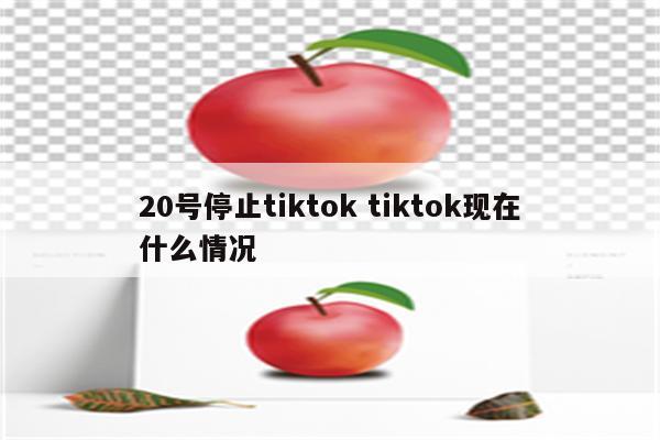 20号停止tiktok tiktok现在什么情况