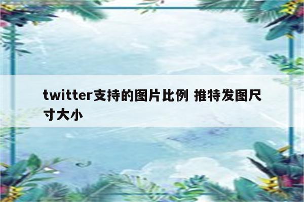 twitter支持的图片比例 推特发图尺寸大小
