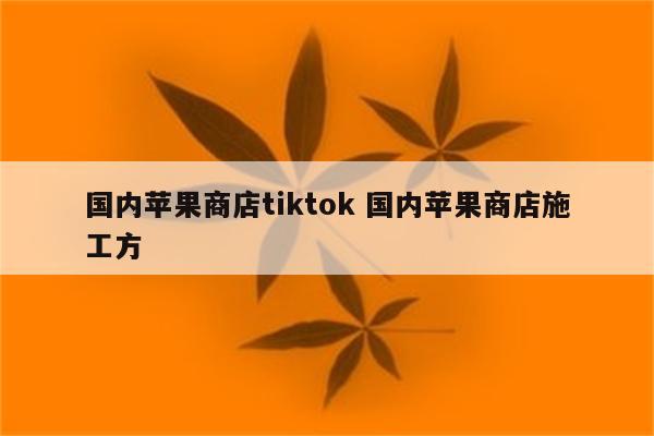 国内苹果商店tiktok 国内苹果商店施工方