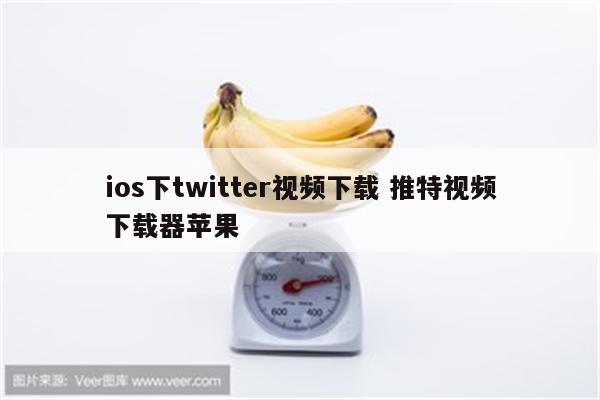 ios下twitter视频下载 推特视频下载器苹果