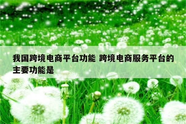 我国跨境电商平台功能 跨境电商服务平台的主要功能是