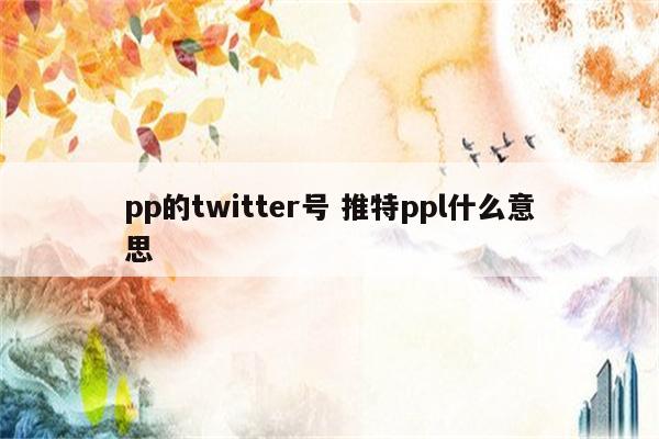 pp的twitter号 推特ppl什么意思