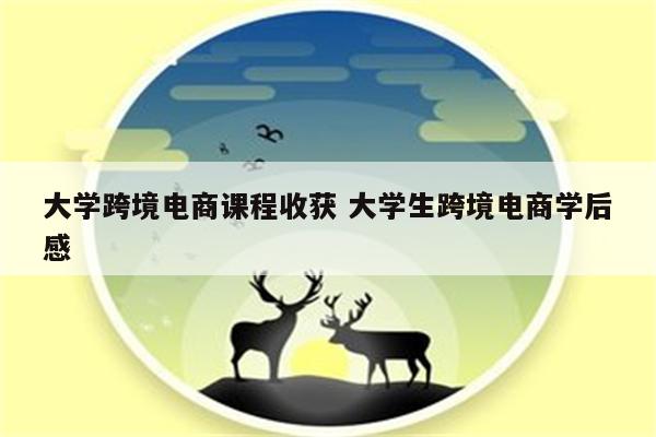 大学跨境电商课程收获 大学生跨境电商学后感