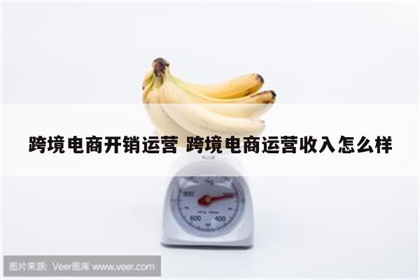 跨境电商开销运营 跨境电商运营收入怎么样