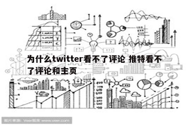 为什么twitter看不了评论 推特看不了评论和主页