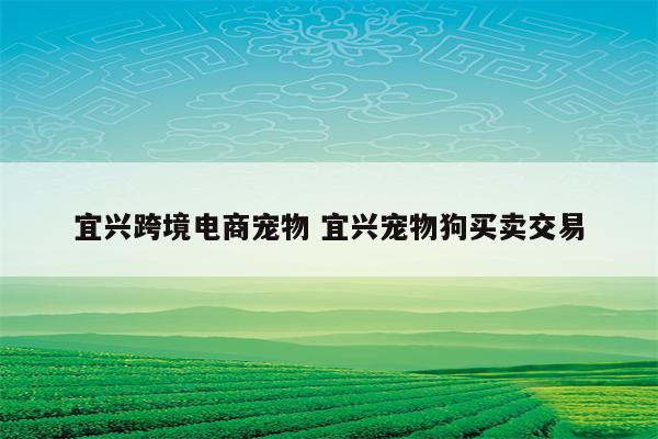 宜兴跨境电商宠物 宜兴宠物狗买卖交易