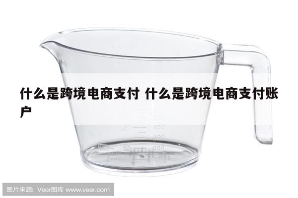 什么是跨境电商支付 什么是跨境电商支付账户