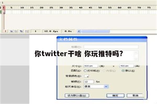 你twitter干啥 你玩推特吗?