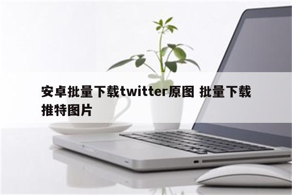 安卓批量下载twitter原图 批量下载推特图片