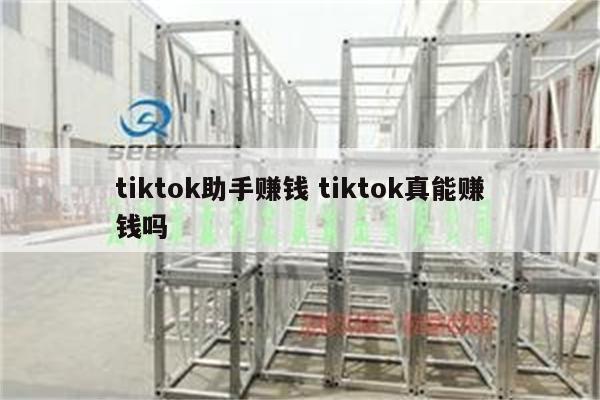 tiktok助手赚钱 tiktok真能赚钱吗