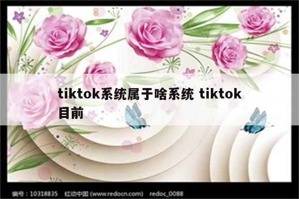 tiktok系统属于啥系统 tiktok目前